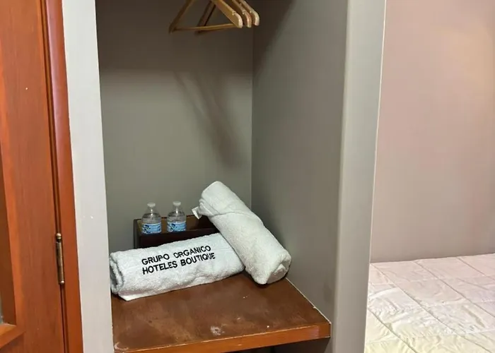 Guest house Express Quinta Soledad