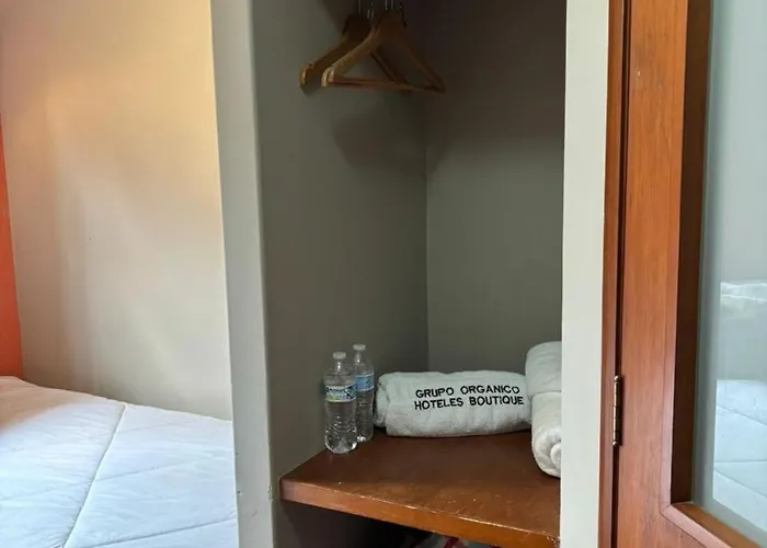Guest house Express Quinta Soledad Mexico City